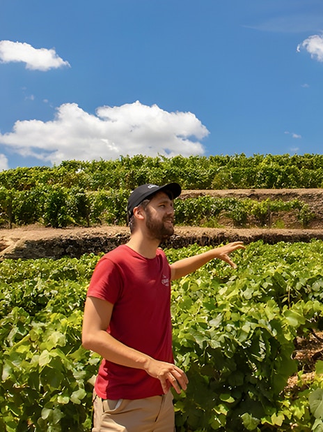 Guide explaining vineyard field to tourist under blue sky.
