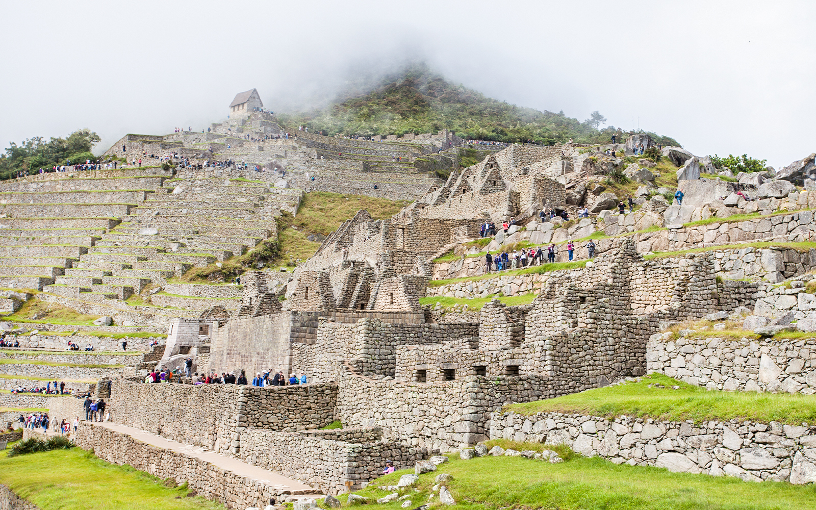 Machu Picchu terraces with stone steps and lush green landscape in Peru.