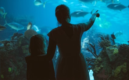 Hoofdingang aquarium Sevilla