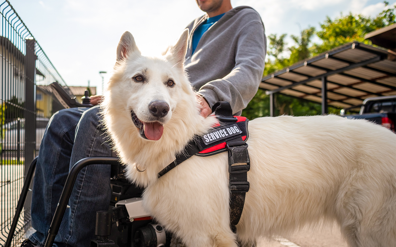 national archaeological museum naples tickets