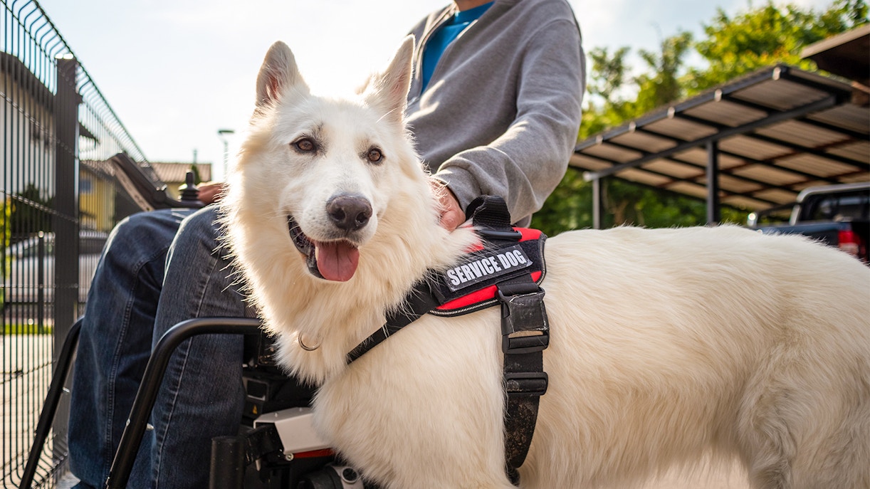 national archaeological museum naples tickets