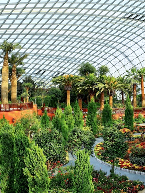 Flower Dome interior with diverse plants and trees at Gardens by the Bay, Singapore.