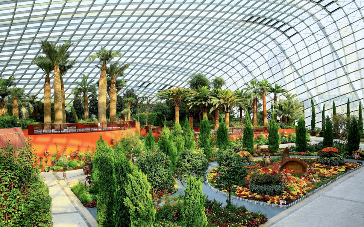 Flower Dome interior with diverse plants and trees at Gardens by the Bay, Singapore.