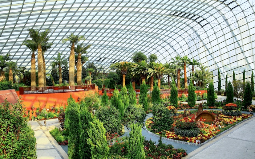 Flower Dome interior with diverse plants and trees at Gardens by the Bay, Singapore.