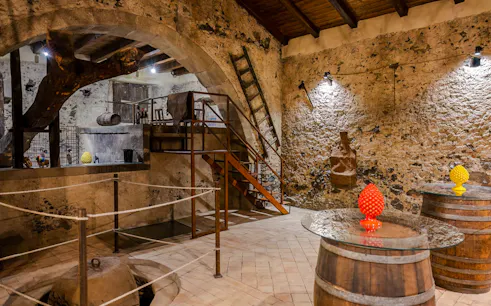 degustação de vinhos naturais e azeites de messina com brunch em um antigo palmento-1