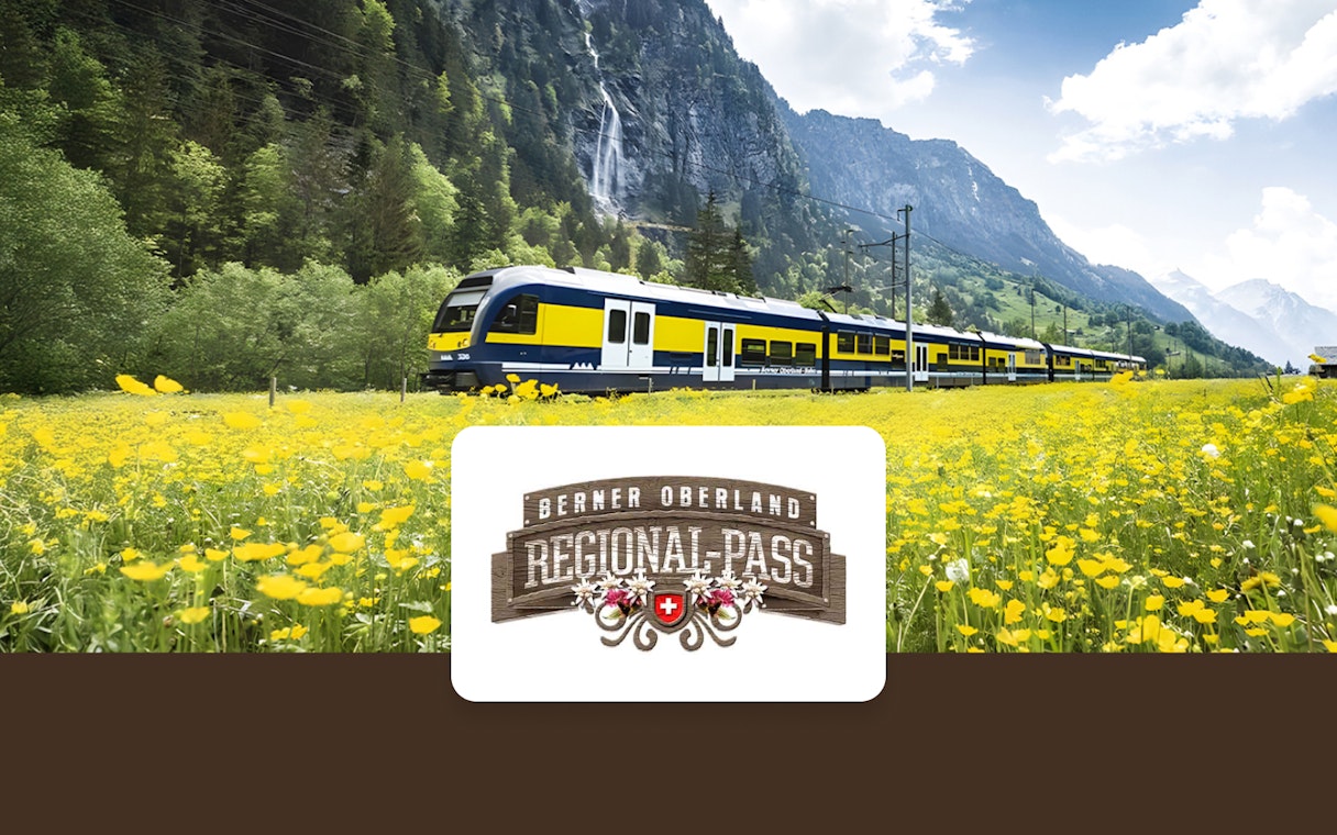 Train traveling through Berner Oberland with mountains and yellow flowers in the background.