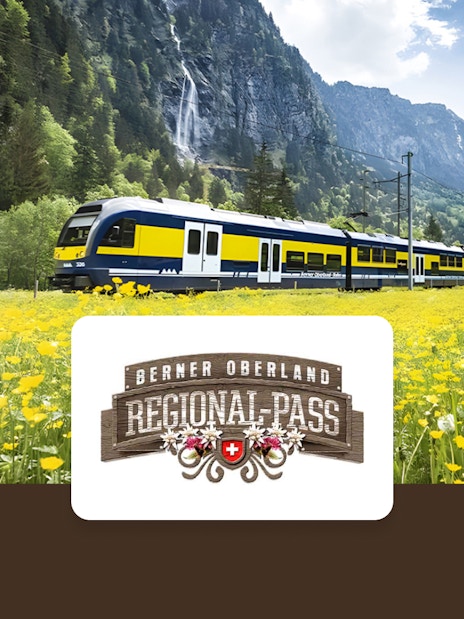 Train traveling through Berner Oberland with mountains and yellow flowers in the background.
