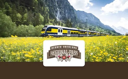 Train traveling through Berner Oberland with mountains and yellow flowers in the background.