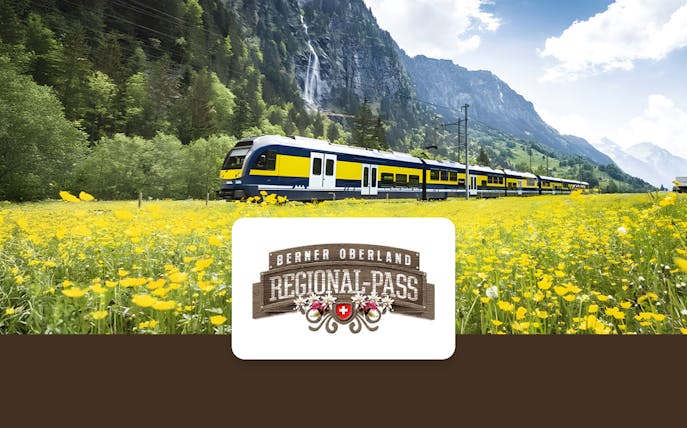 Train traveling through Berner Oberland with mountains and yellow flowers in the background.