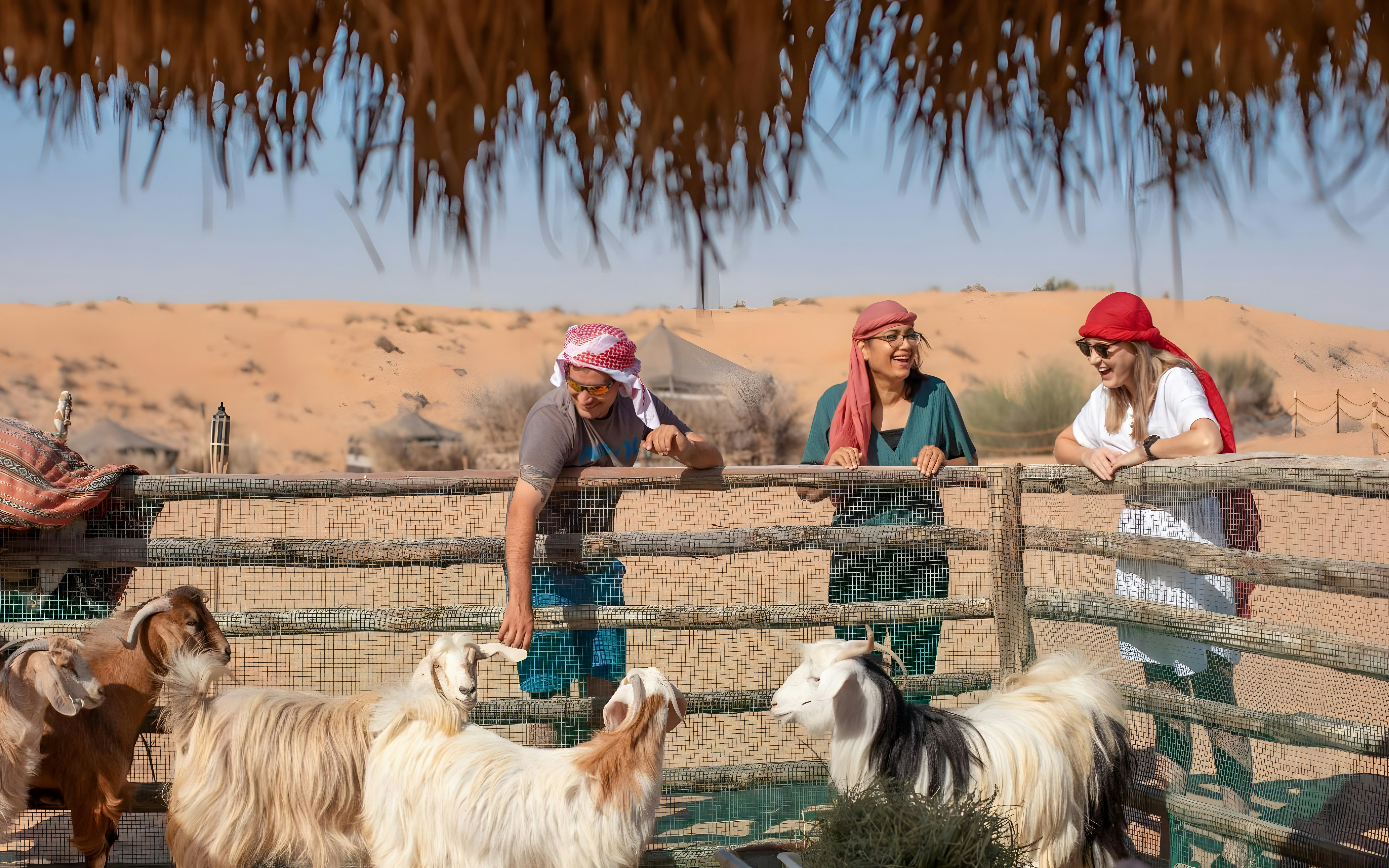 Sheep and goats grazing at Bedouin Culture Safari, Dubai desert.