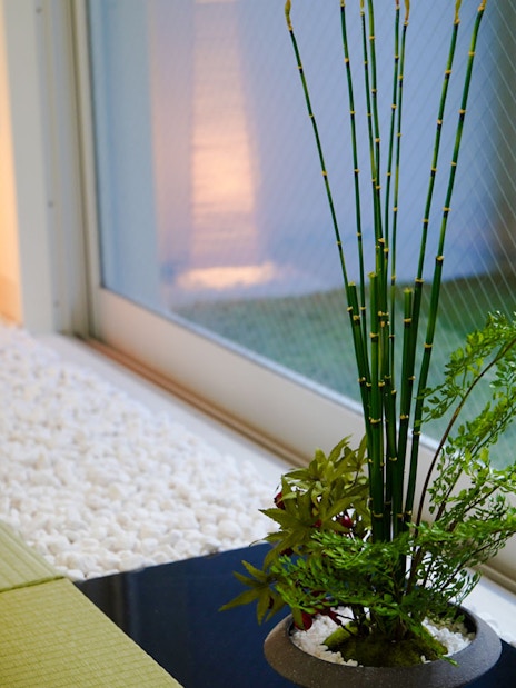 Tatami mat and bamboo arrangement in Tokyo Matcha & Kimono Experience interior.