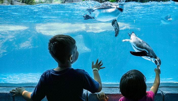 AcquiroVillage World