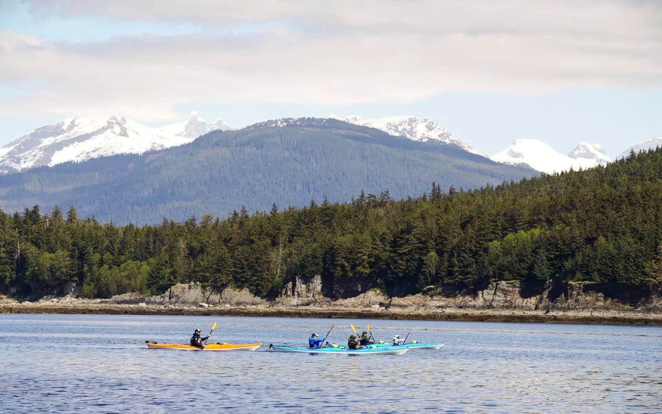 Kayakers paddling near forested coastline with snowy mountains in Juneau.