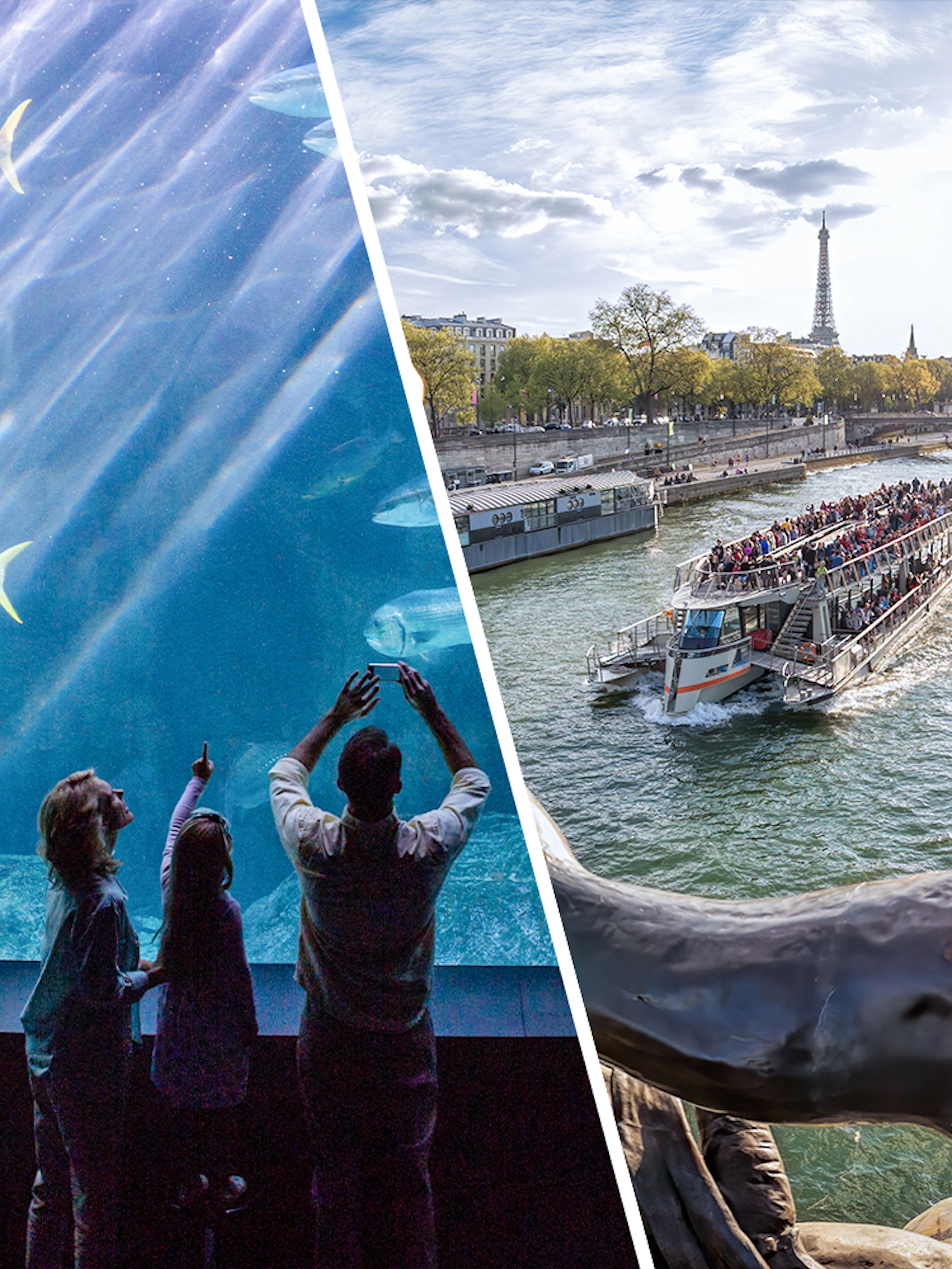 Aquarium de Paris visitors and Seine River cruise with Eiffel Tower view.