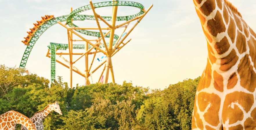 Busch Gardens Tampa Bay Tickets