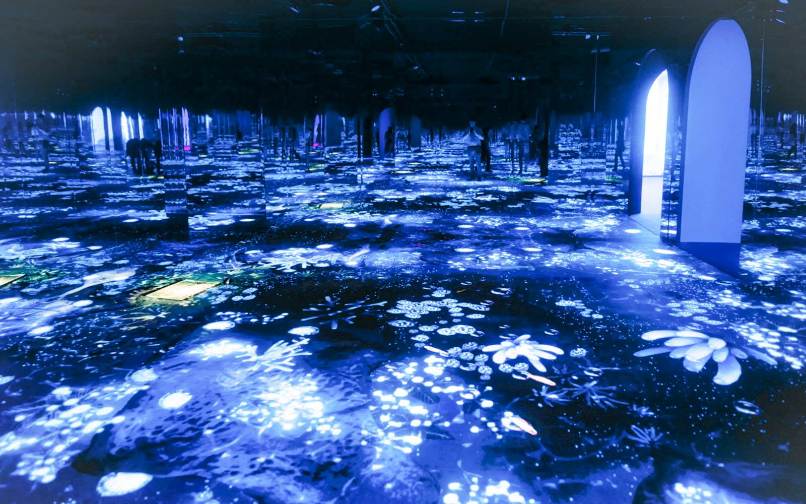 Led room in Bubble Planet