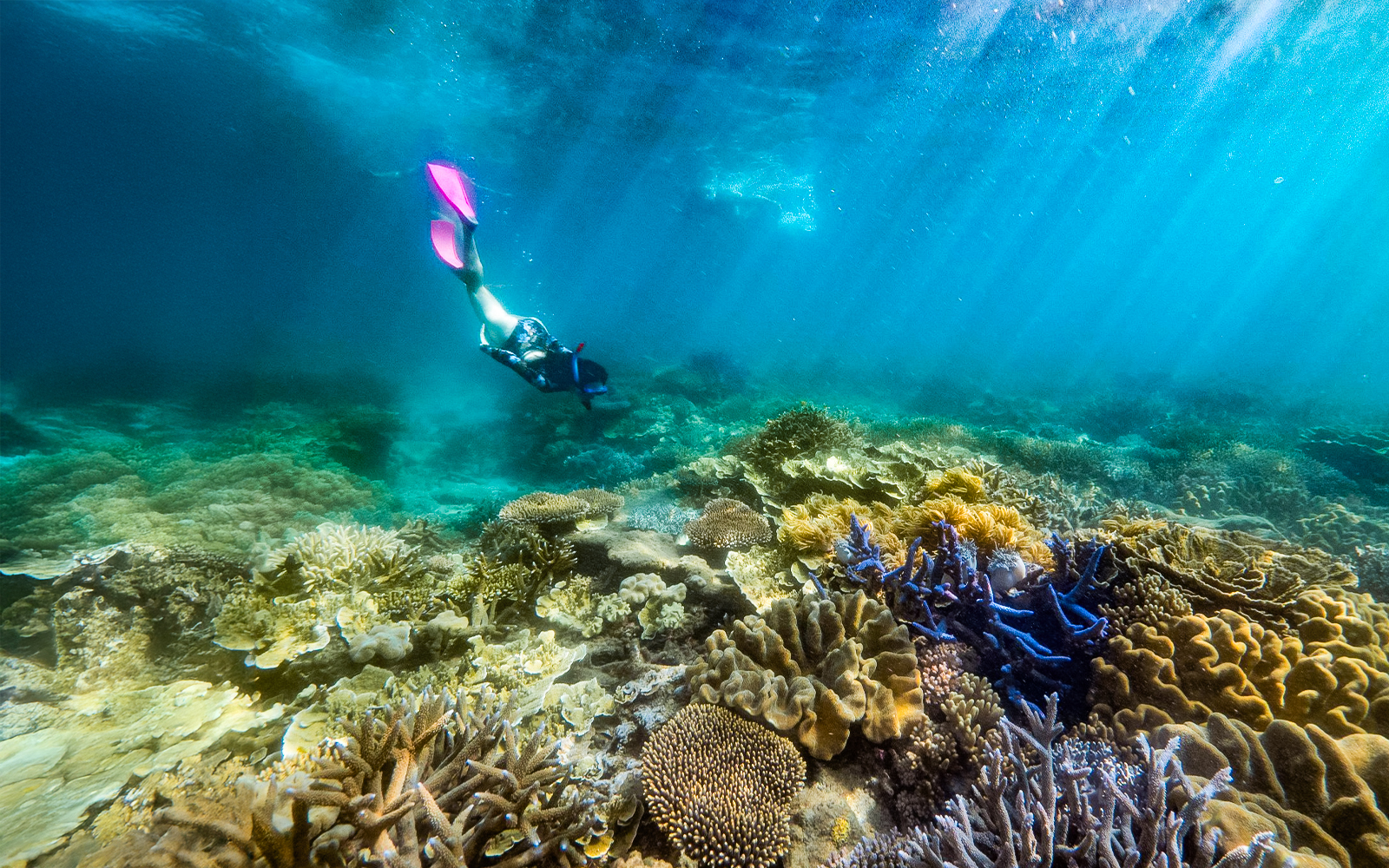 Fitzroy Island beach with clear waters, glass bottom boat tour, and visitors enjoying a day trip from Cairns.