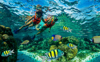 Snorkelers exploring coral reef and colorful fish in Marine National Park, Puerto Morelos, Mexico.