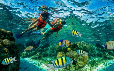 Snorkeling in National Reef Park with Beachside Lunch