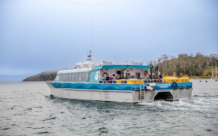 Stewart Island Ferry