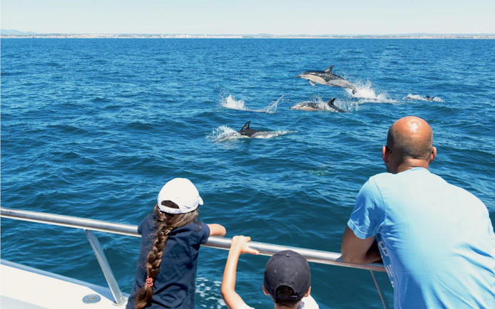 Dolphins swimming near a catamaran with people watching during Benagil Cave cruise from Albufeira.