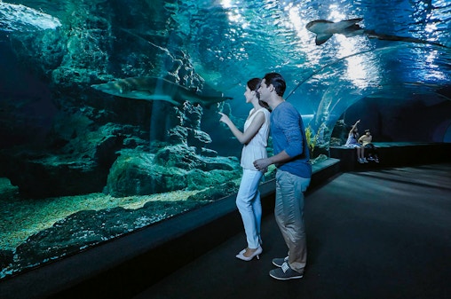 Entradas para SEA LIFE Bangkok