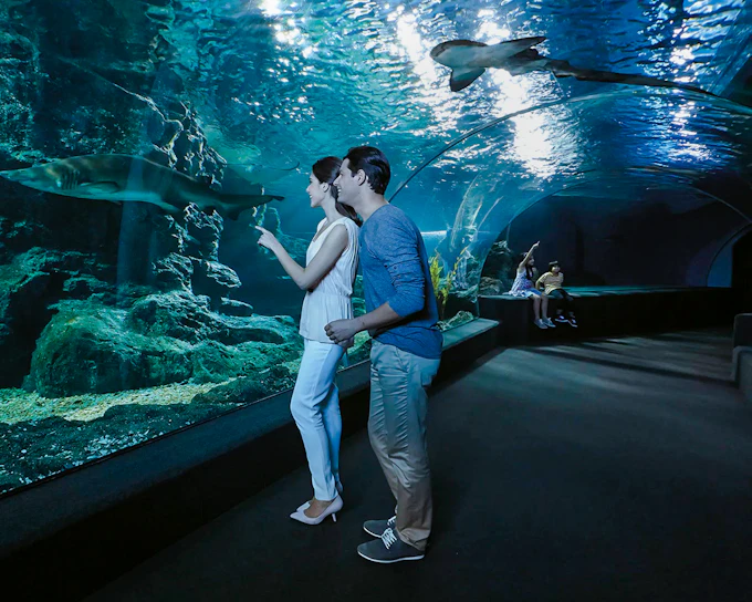 SEA LIFE Bangkok Tickets