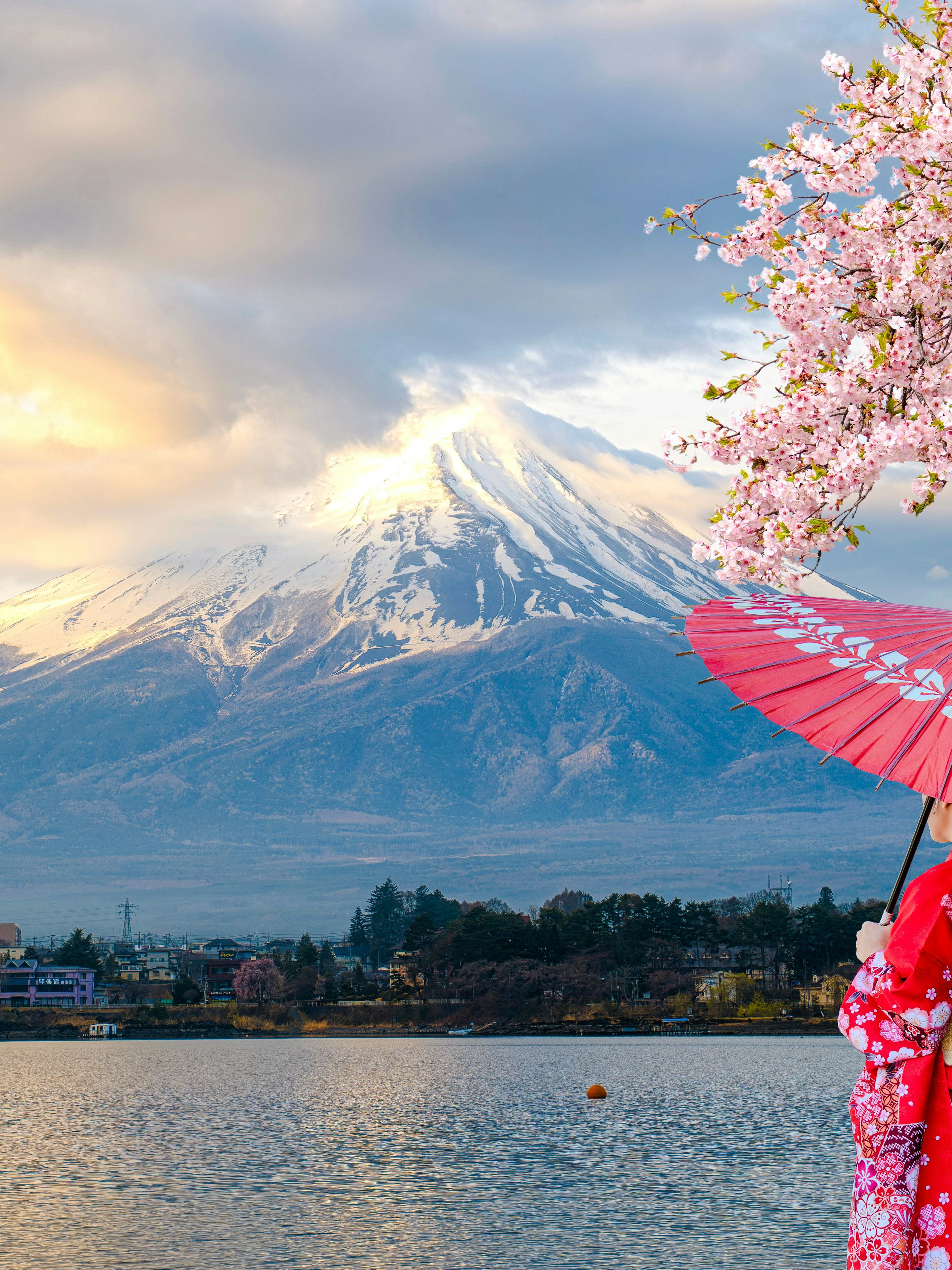 Japanese woman in kimono with umbrella by Mount Fuji and cherry blossoms.