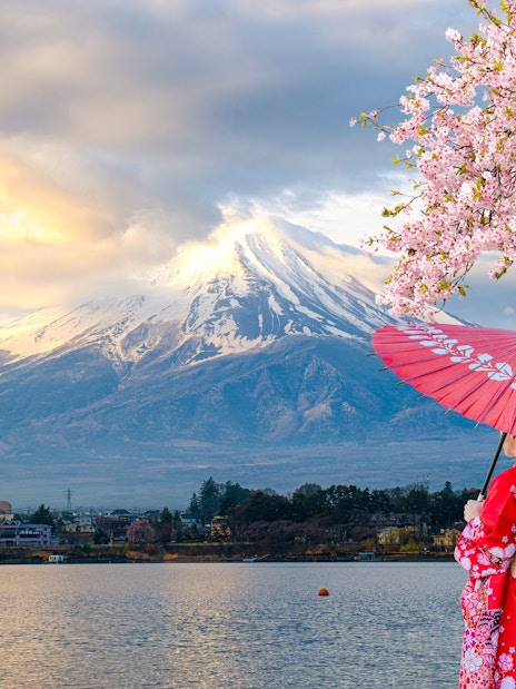 Japanese woman in kimono with umbrella by Mount Fuji and cherry blossoms.