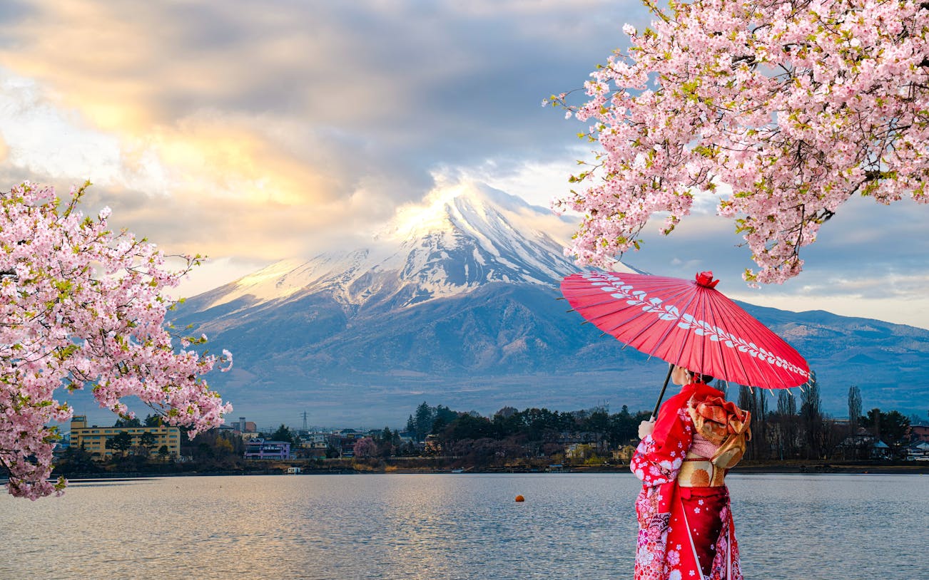 Japanese woman in kimono with umbrella by Mount Fuji and cherry blossoms.