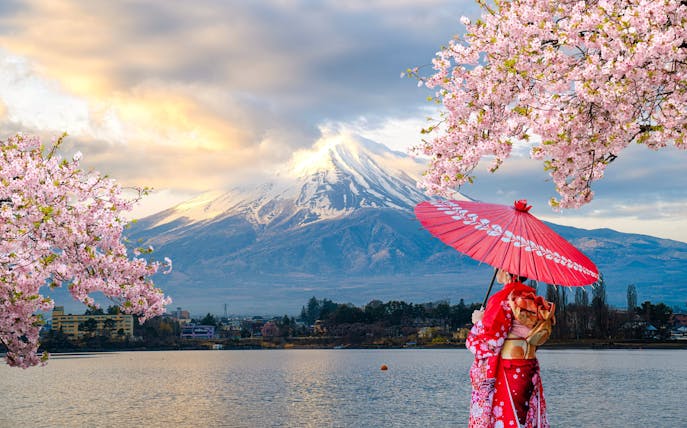 Japanese woman in kimono with umbrella by Mount Fuji and cherry blossoms.