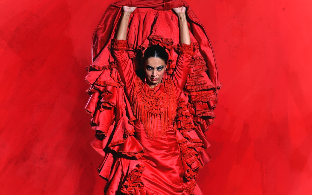 Flamenco dancer in red dress performing at Teatro Flamenco Granada.