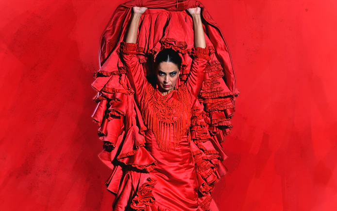 Flamenco dancer in red dress performing at Teatro Flamenco Granada.