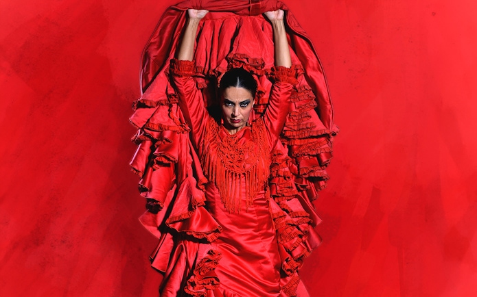 Flamenco dancer in red dress performing at Teatro Flamenco Granada.