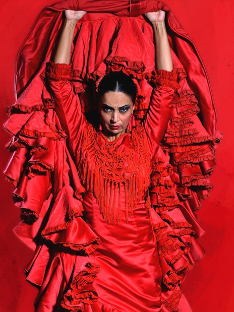 Flamenco dancer in red dress performing at Teatro Flamenco Granada.