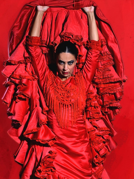 Flamenco dancer in red dress performing at Teatro Flamenco Granada.
