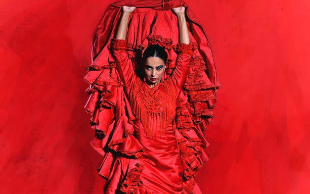 Flamenco dancer in red dress performing at Teatro Flamenco Granada.