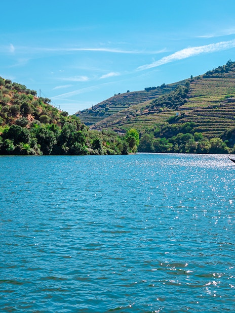 Boat on Douro River with terraced vineyards in Portugal.