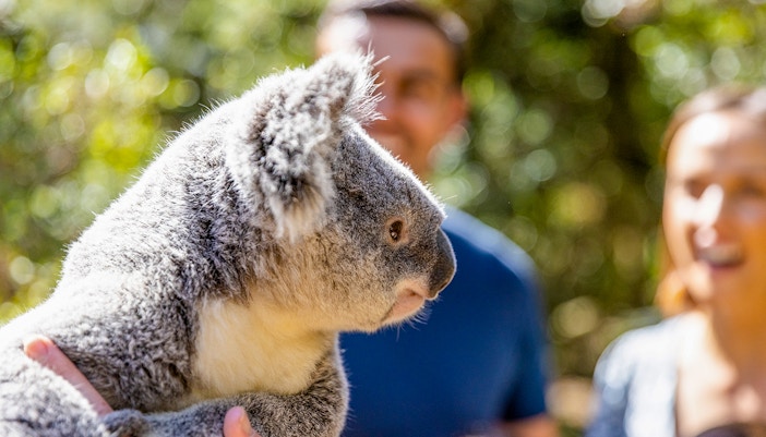 Corroboree & wildlife experiences