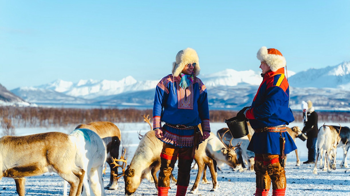 Sami people in traditional attire with reindeer in snowy landscape.