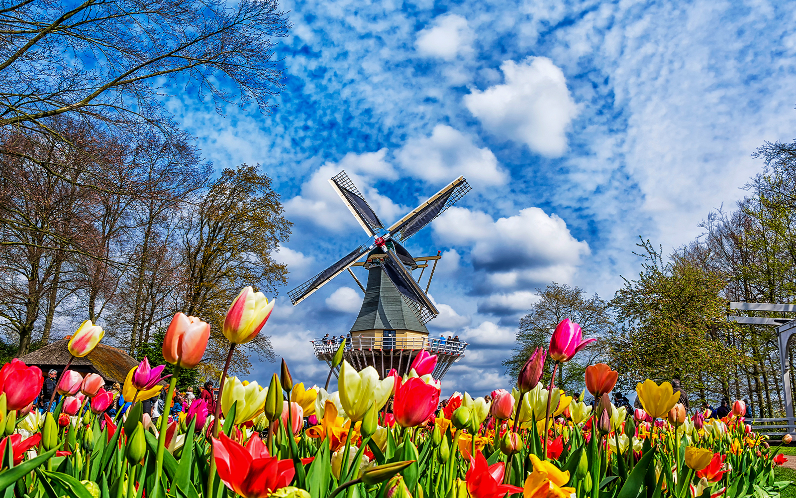 Keukenhof