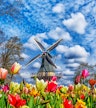 Keukenhof