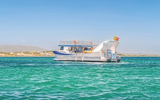 Catamaran on dolphin and Benagil caves tour in Algarve, Portugal.