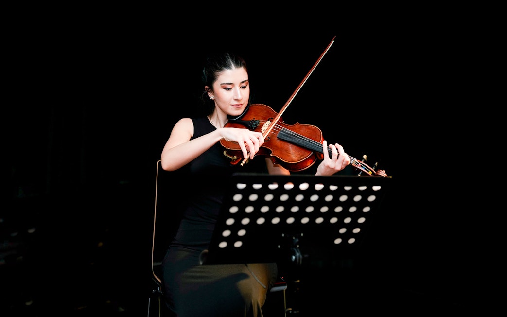 Violinist performing at Mozart & Beethoven Concert, Haus der Musik.