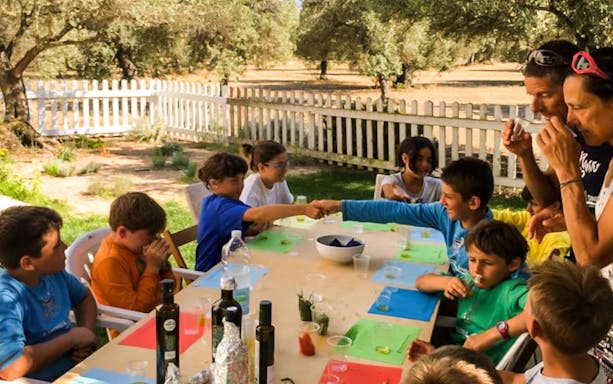 Children and adults tasting olive oil at a table in Oristano, surrounded by olive trees.