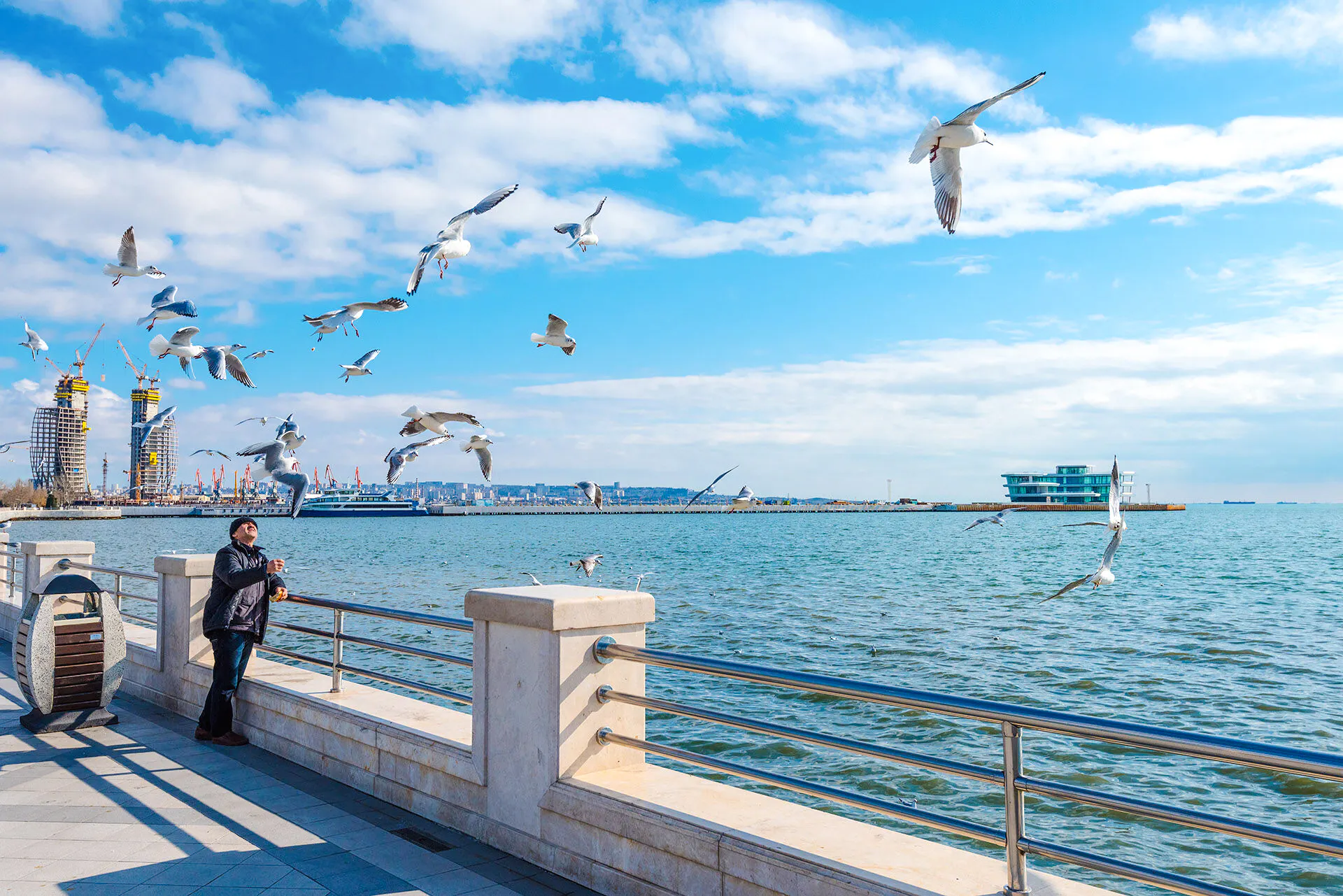 Seaside promenade with seagulls and modern buildings in Baku, Azerbaijan.