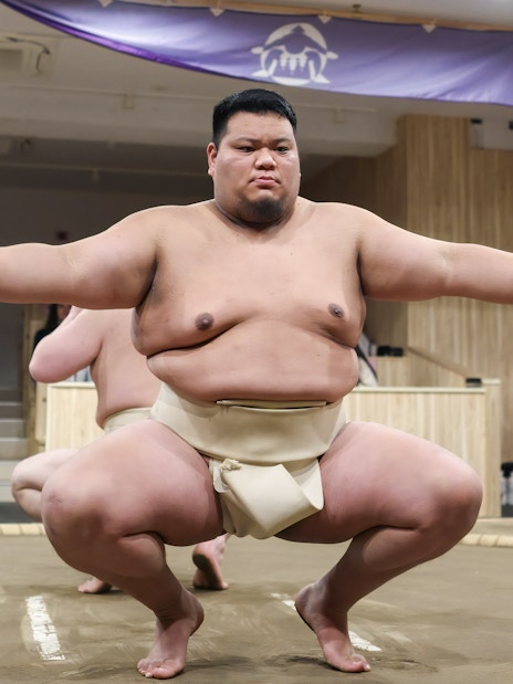 Sumo wrestler crouches in preparation for a match in a Tokyo arena.