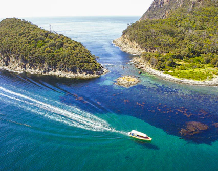 Boat cruising between lush islands on Bruny Island Wilderness Cruise, Tasmania.