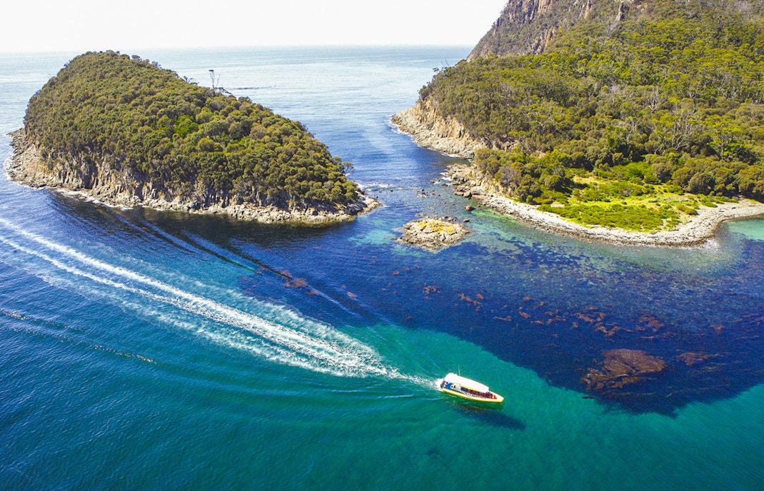 Bruny Island Wilderness Cruise boat navigating rugged coastline with cliffs and sea caves in Tasmania.