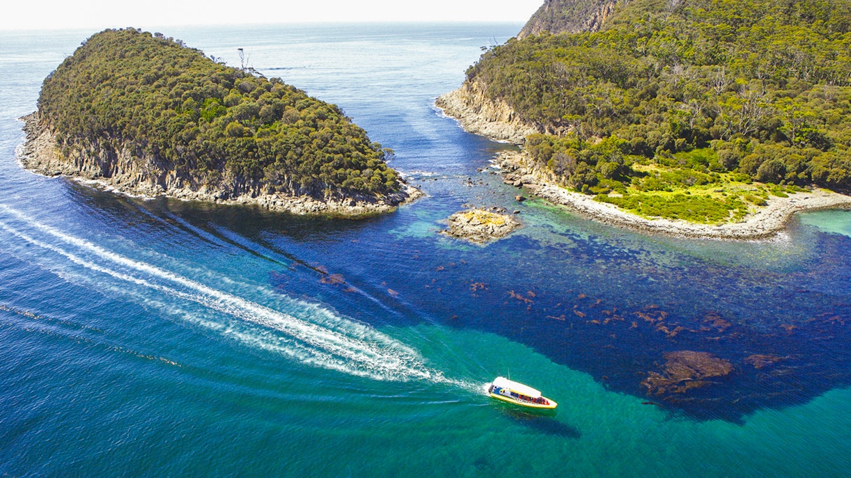 Bruny Island Wilderness Cruise boat navigating rugged coastline with cliffs and sea caves in Tasmania.